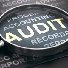 Auditing Services...